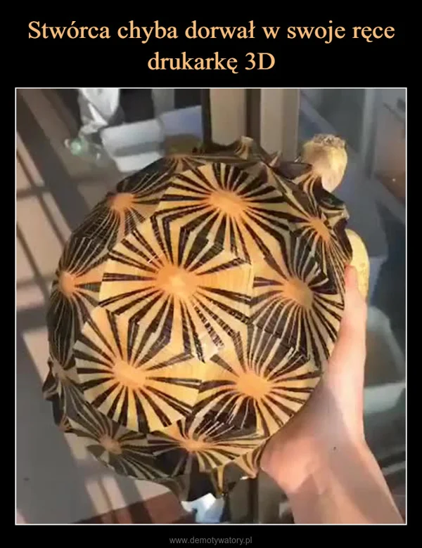 
    Stwórca chyba dorwał w swoje ręce drukarkę 3D