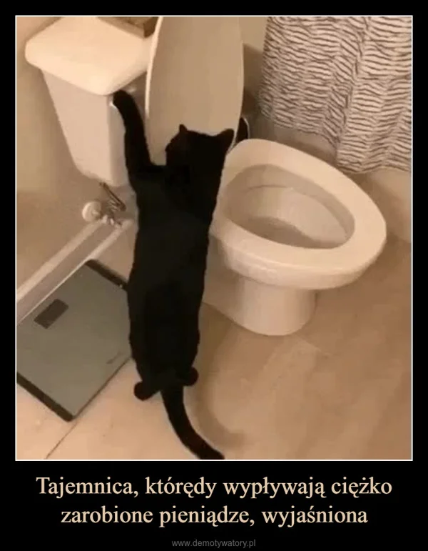 
    Tajemnica, którędy wypływają ciężko zarobione pieniądze, wyjaśniona