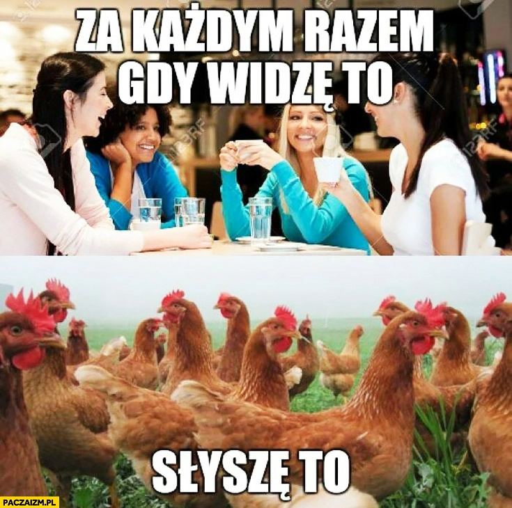 
    Za każdym razem gdy widzę to słyszę to gadające rozmawiające kobiety laski kury kurczaki kwakanie