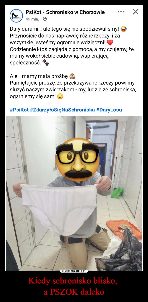 
    Kiedy schronisko blisko, a PSZOK daleko