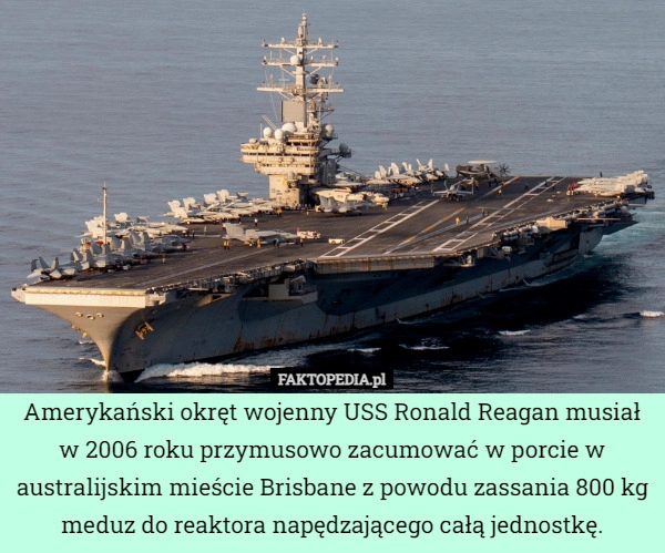 
    Amerykański okręt wojenny USS Ronald Reagan musiał w 2006 roku przymusowo