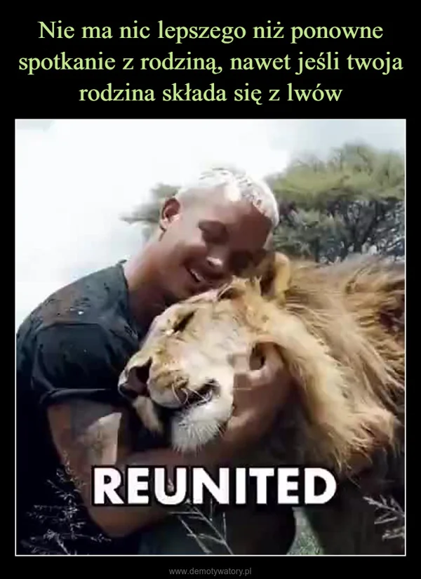 
    Nie ma nic lepszego niż ponowne spotkanie z rodziną, nawet jeśli twoja rodzina składa się z lwów