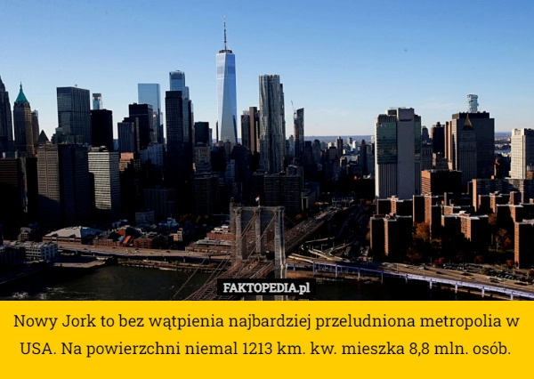 
    Nowy Jork to bez wątpienia najbardziej przeludniona metropolia w USA. Na