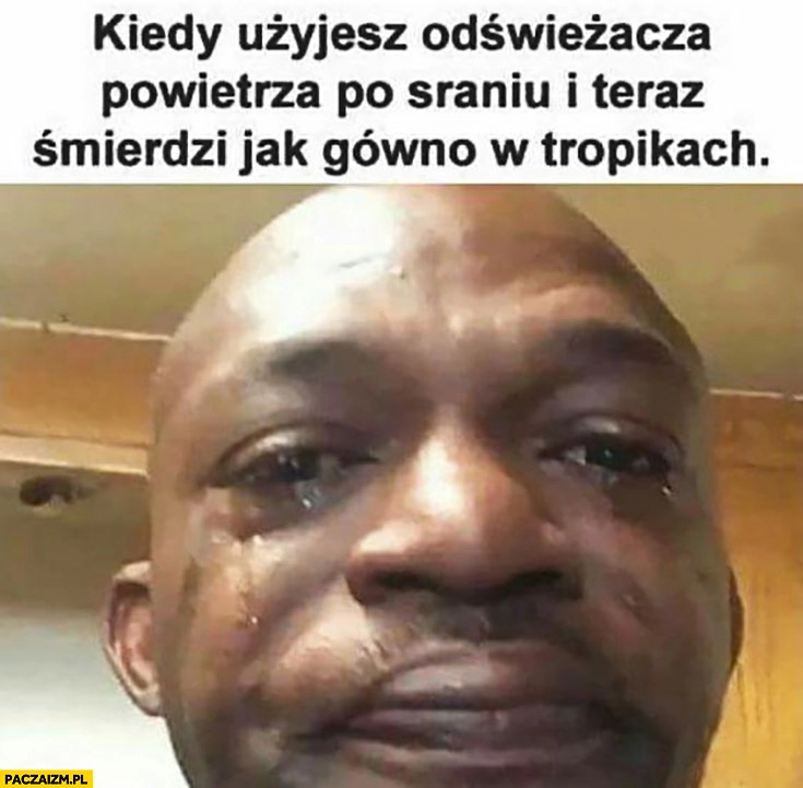 
    Kiedy użyjesz odświeżacza powietrza po sraniu i teraz śmierdzi jak gówno w tropikach