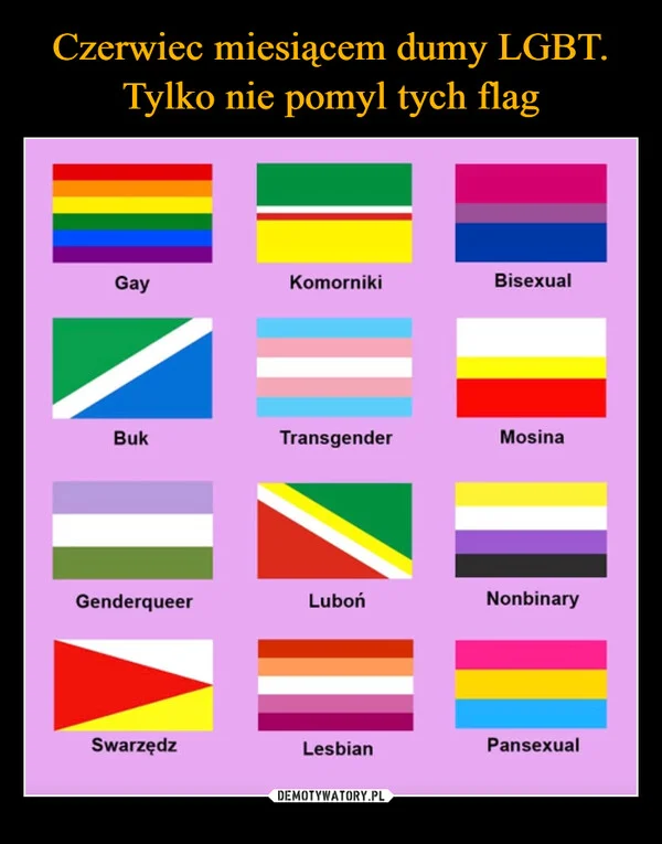 
    Czerwiec miesiącem dumy LGBT. Tylko nie pomyl tych flag