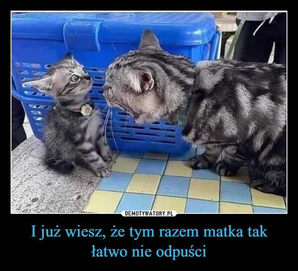 
    I już wiesz, że tym razem matka tak łatwo nie odpuści