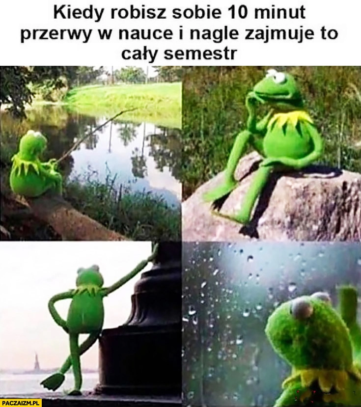 
    Kiedy robisz sobie 10 minut przerwy w nauce i nagle zajmuje to cały semestr Kermit