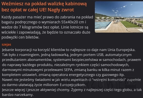 
    Bagaż