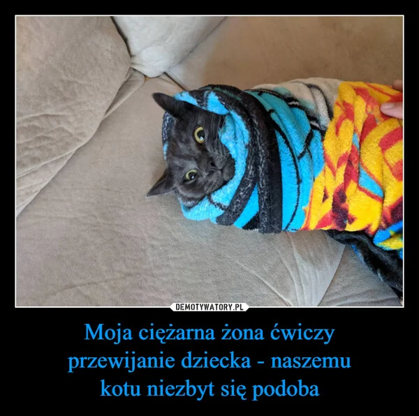 Moja ciężarna żona ćwiczy przewijanie dziecka - naszemu kotu niezbyt się podoba