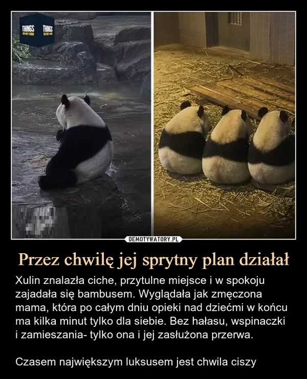 
    Przez chwilę jej sprytny plan działał