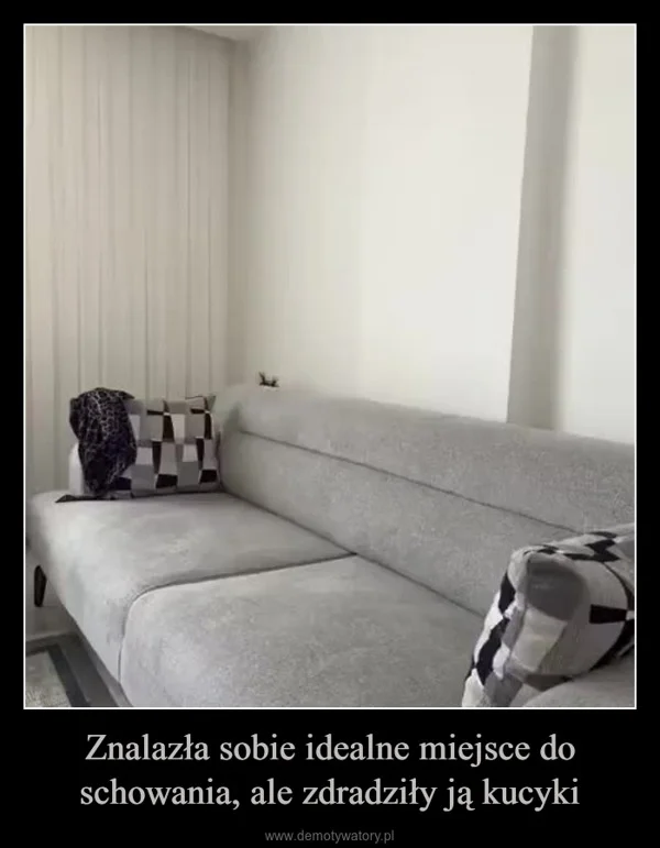 
    Znalazła sobie idealne miejsce do schowania, ale zdradziły ją kucyki