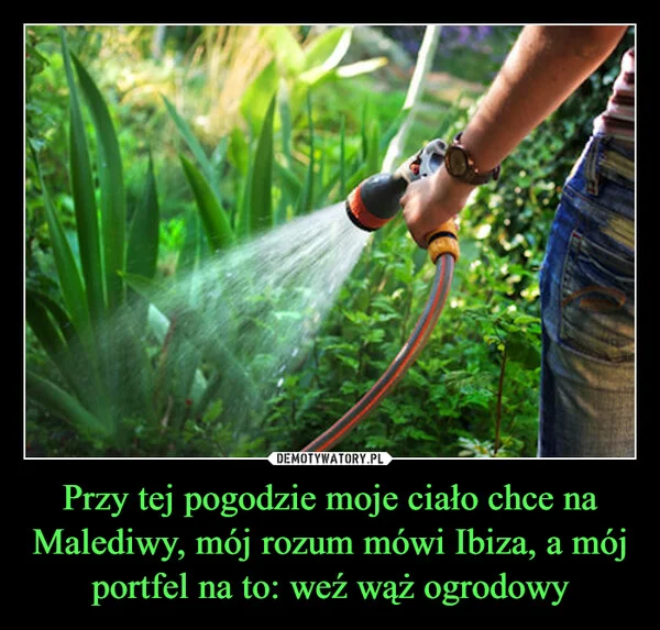 
    Przy tej pogodzie moje ciało chce na Malediwy, mój rozum mówi Ibiza, a mój portfel na to: weź wąż ogrodowy