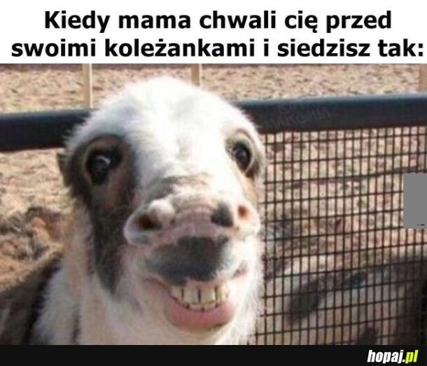 
    Zadowolenie