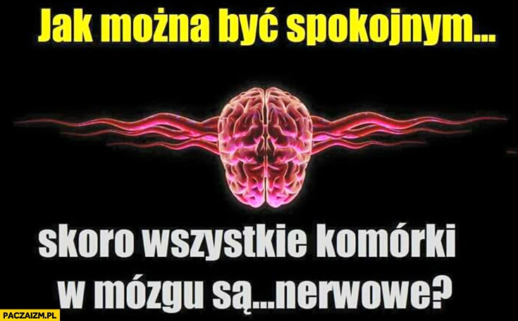 
    Jak można być spokojnym skoro wszystkie komórki w mózgu są nerwowe