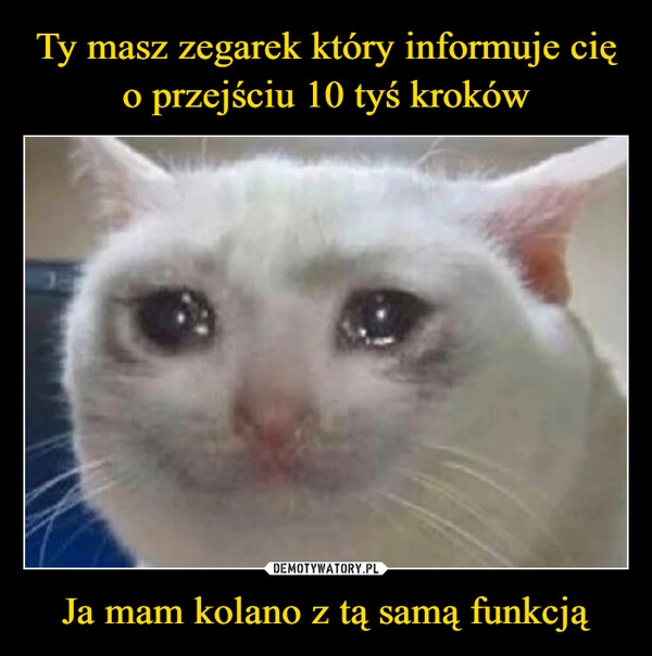 
    Ty masz zegarek który informuje cię
o przejściu 10 tyś kroków Ja mam kolano z tą samą funkcją