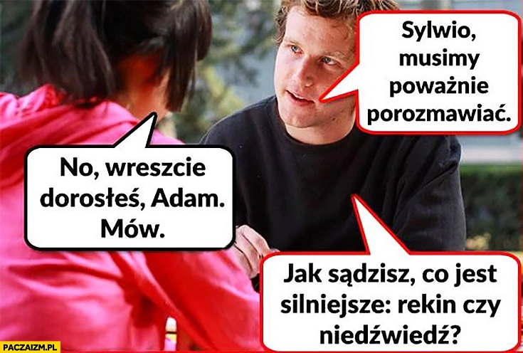 
    Sylwio, musimy poważnie porozmawiać. No wreszcie dorosłeś Adam, mów. Jak sądzisz co jest silniejsze: rekin czy niedźwiedź?