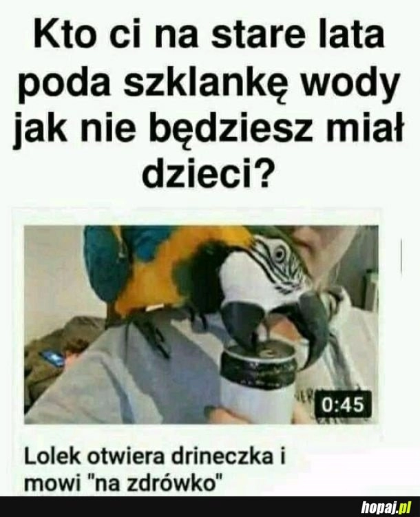 
    Zamienię dzieci na Lolka