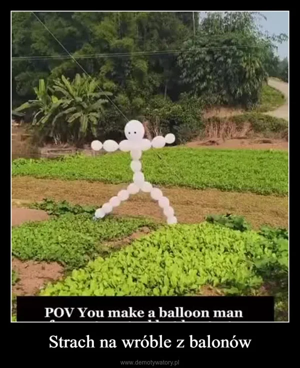 
    Strach na wróble z balonów