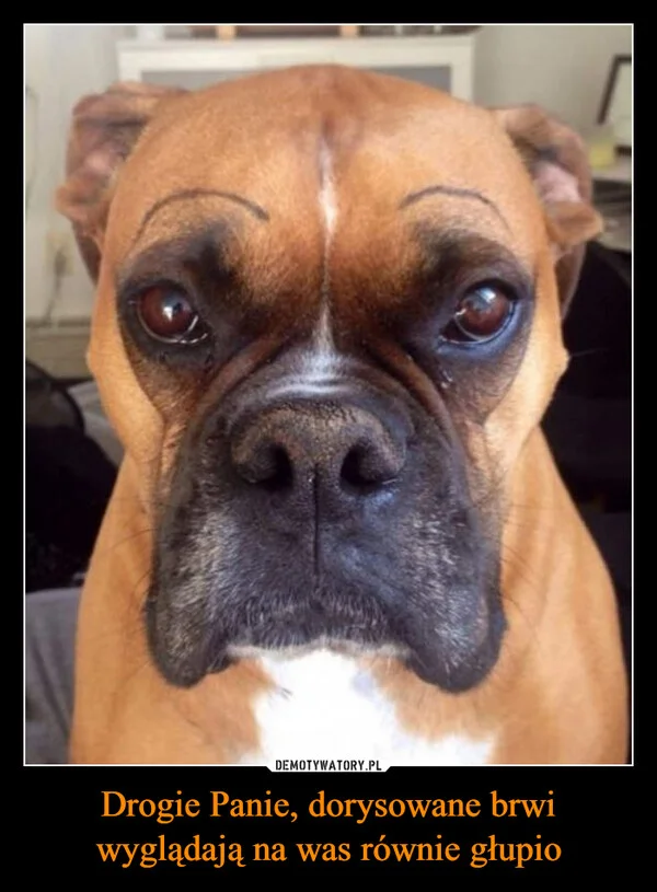 
    Drogie Panie, dorysowane brwi wyglądają na was równie głupio