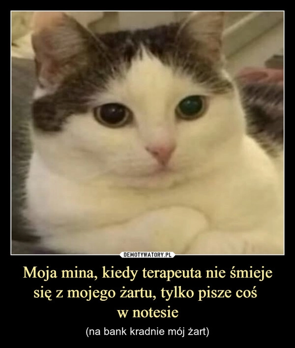 
    Moja mina, kiedy terapeuta nie śmieje się z mojego żartu, tylko pisze coś 
w notesie