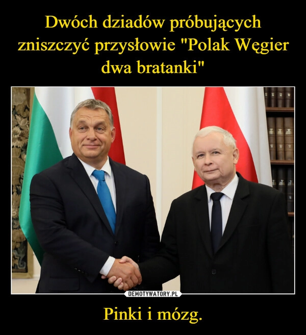 
    Dwóch dziadów próbujących zniszczyć przysłowie "Polak Węgier dwa bratanki" Pinki i mózg.