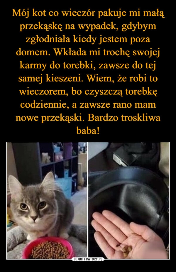 
    Mój kot co wieczór pakuje mi małą przekąskę na wypadek, gdybym zgłodniała kiedy jestem poza domem. Wkłada mi trochę swojej karmy do torebki, zawsze do tej samej kieszeni. Wiem, że robi to wieczorem, bo czyszczą torebkę codziennie, a zawsze rano mam nowe przekąski. Bardzo troskliwa baba!