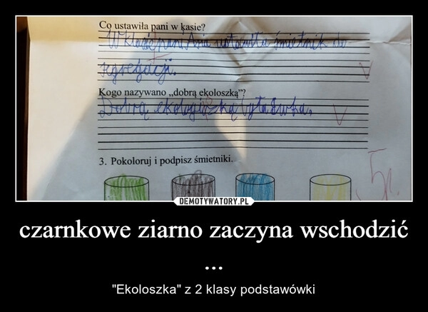 
    czarnkowe ziarno zaczyna wschodzić ...