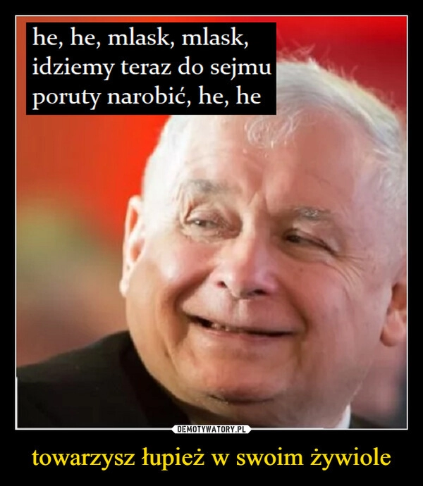 
    towarzysz łupież w swoim żywiole