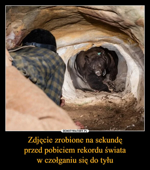 
    Zdjęcie zrobione na sekundę przed pobiciem rekordu świata w czołganiu się do tyłu