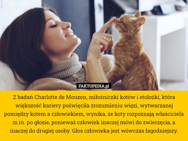 
    Z badań Charlotte de Mouzon, miłośniczki kotów i etolożki, która większość