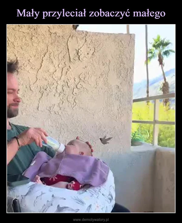 
    Mały przyleciał zobaczyć małego