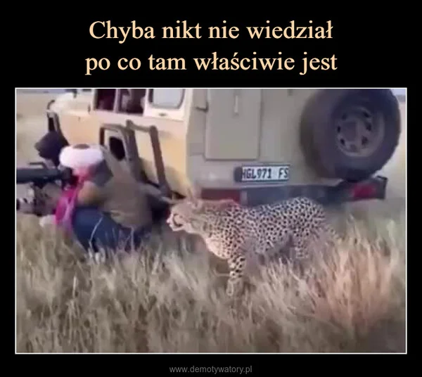 Chyba nikt nie wiedział po co tam właściwie jest