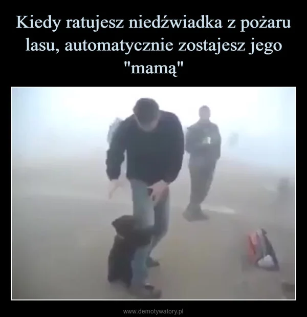
    Kiedy ratujesz niedźwiadka z pożaru lasu, automatycznie zostajesz jego 
