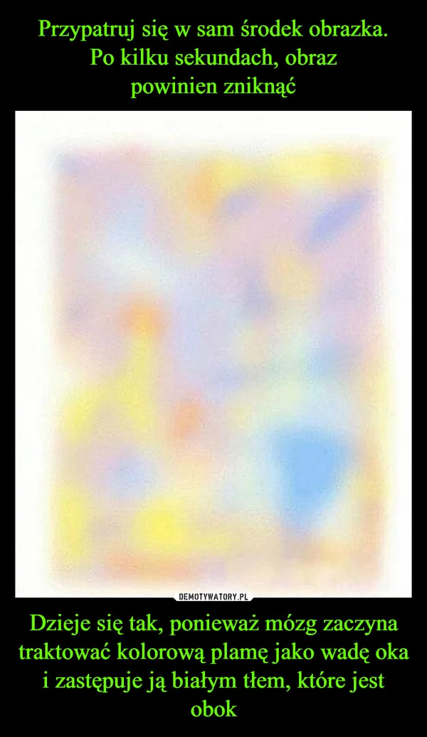 
    Przypatruj się w sam środek obrazka. Po kilku sekundach, obraz powinien zniknąć Dzieje się tak, ponieważ mózg zaczyna traktować kolorową plamę jako wadę oka i zastępuje ją białym tłem, które jest obok