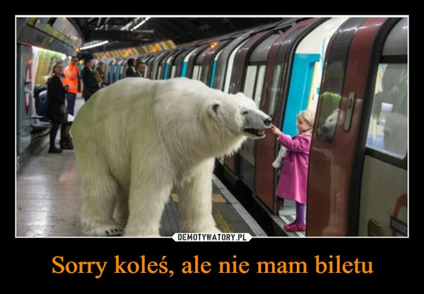 
    Sorry koleś, ale nie mam biletu
