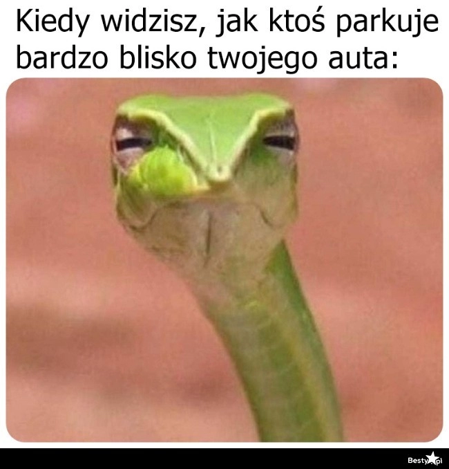 
    Żeby tylko nie stuknął 