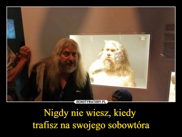 
    Nigdy nie wiesz, kiedy
trafisz na swojego sobowtóra 