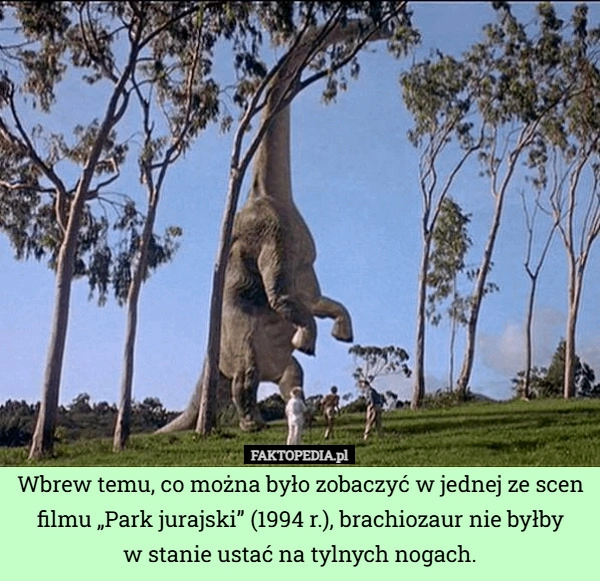 
    Wbrew temu, co można było zobaczyć w jednej ze scen filmu „Park jurajski”