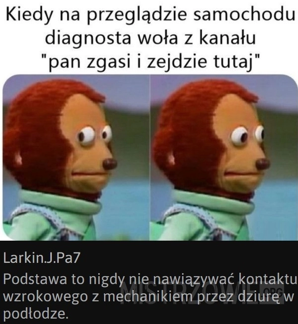 
    Przegląd