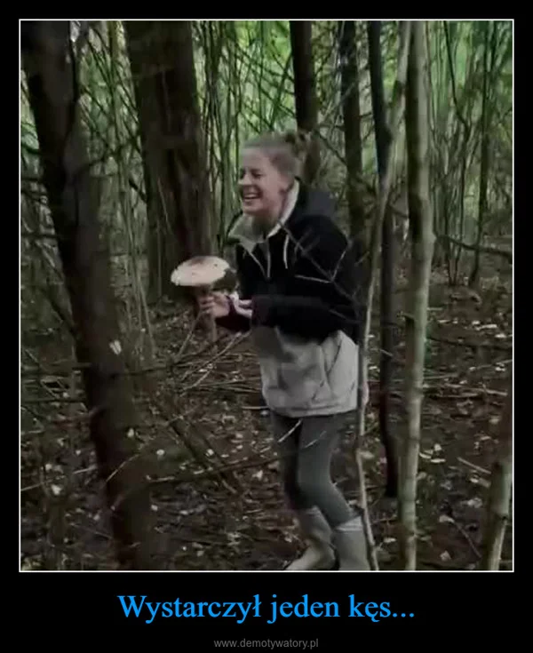 Wystarczył jeden kęs...