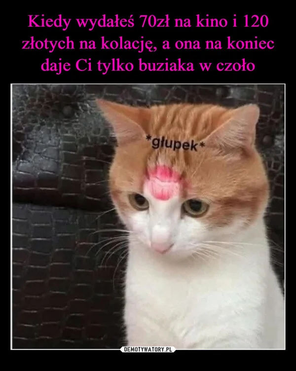 
    Kiedy wydałeś 70zł na kino i 120 złotych na kolację, a ona na koniec daje Ci tylko buziaka w czoło