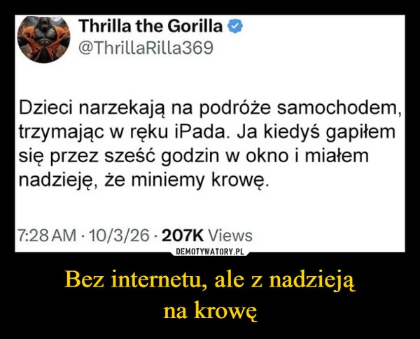 
    Bez internetu, ale z nadzieją na krowę