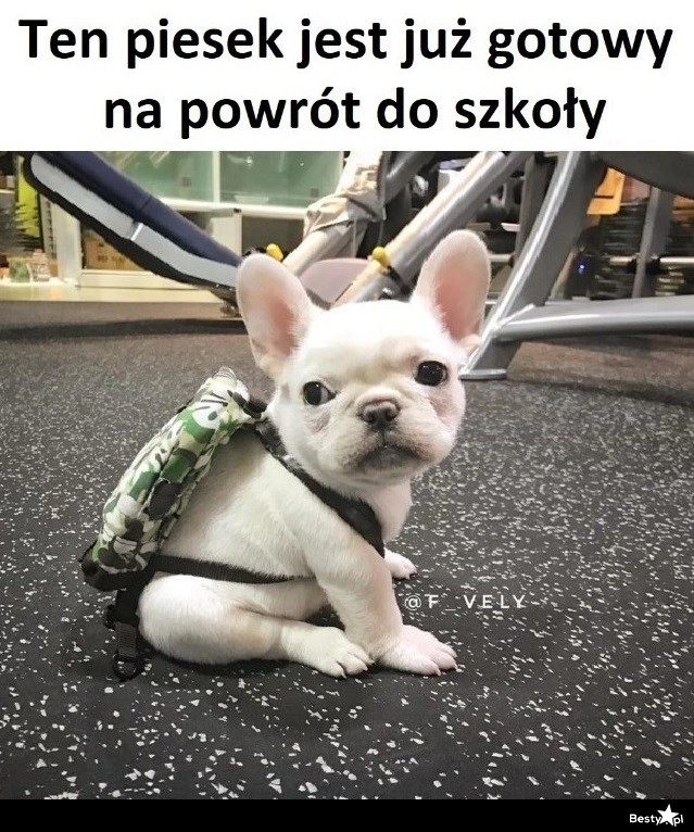 
    Gotowy na powrót do szkoły 