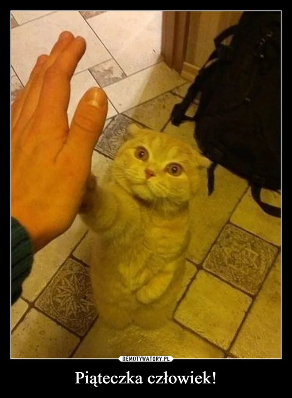 
    Piąteczka człowiek!