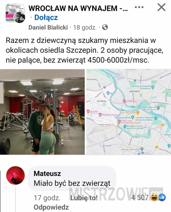 
    Mieszkanie na wynajem