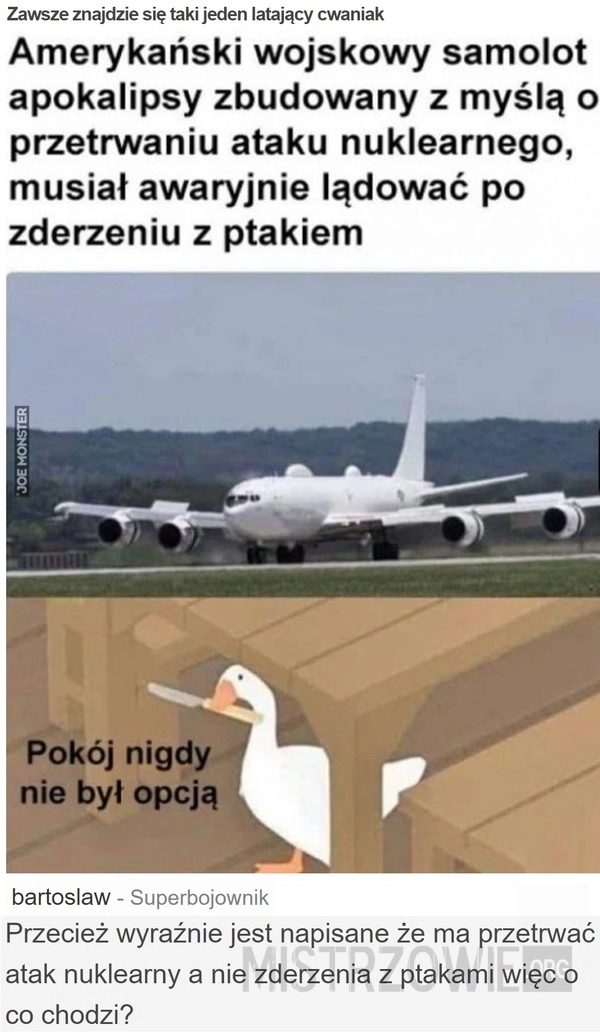 
    Zawsze znajdzie się taki jeden latający cwaniak