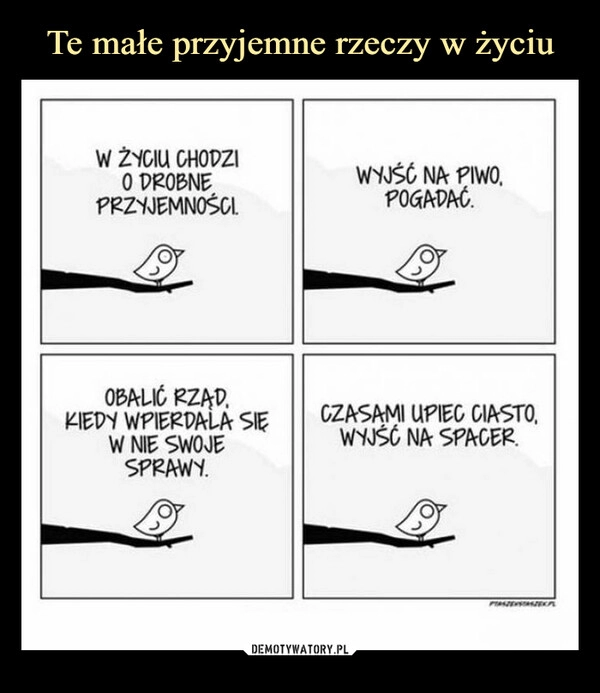 
    Te małe przyjemne rzeczy w życiu