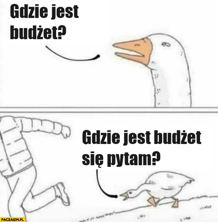 
    Gęś gdzie jest budżet się pytam