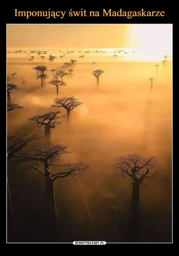 
    Imponujący świt na Madagaskarze