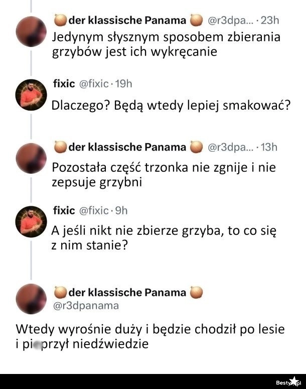 
    Prawidłowy sposób zbierania grzybów 